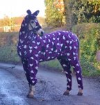 horse in a onesie.jpg