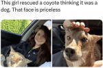 1747616053764.png