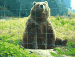 1747960063767.gif