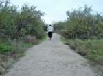 the Path .JPG