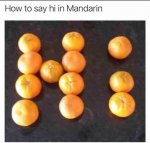 1749836580083.jpeg