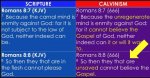 Cally.JPG