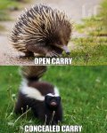 open concealed carry.jpg