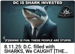 1754962332463.png