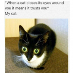 1756451824837.png