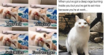 1756451896044.png