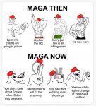 5 d Chess.JPG