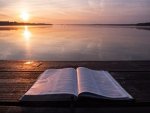 aaron-burden-535Npq1wFG8-unsplash-768x576-1.jpg