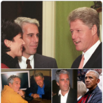 1761097118636.png