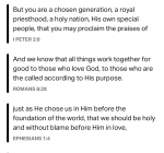 1762105829070.png