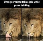 1764633205765.jpeg