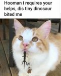 1764633250190.jpeg