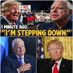 1766471752528.png 1766471752528.png