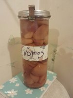 nomos.jpeg