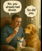 1772541904457.png