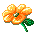 45307.gif