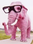 Pink Elephant.jpg
