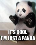 panda.jpg