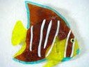 AngelFish 3.jpg