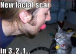 facialscar.jpg