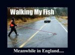 walkingfish.jpg