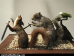 squirrley.png squirrley.png
