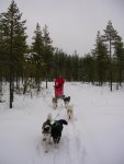 DSCN5661.jpg DSCN5661.jpg