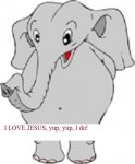 elephant01.jpg