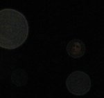 IMG_0280_01.jpg