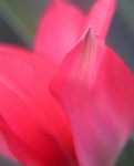 IMG_0091_02.jpg