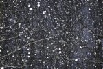 snow-falling.jpg