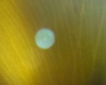 IMG_1082_01.jpg
