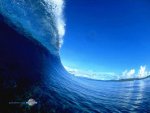 Really_big_wave.jpg