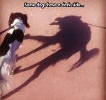 cool-dog-shadow-monster-looking-shape.jpg