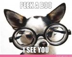 peek-a-boo-i-see-you.jpg