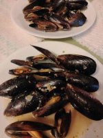 mussels.jpg mussels.jpg