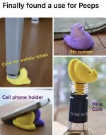 650335507_26701289319463015_5755660065229646553_n peeps.jpg