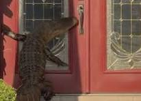 1773867811328.png