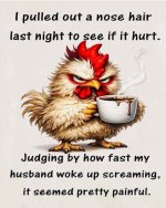 funny_pic_42.jpg