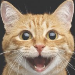 1774371414562.png