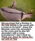 509356759_10160905123312167_2143649596518266936_n  DonkyCrs.jpg