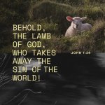 IMG_1625.jpeg