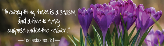 SeasonForEverything.png