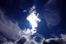 IMG_5106.jpeg
