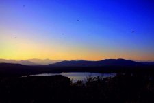 IMG_0593.jpeg