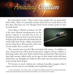 Amazing Creation_fly.png