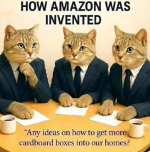 1777990646901.png