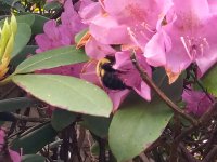 IMG_20260507_162609_404.jpg