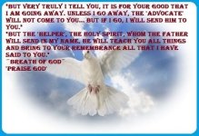 HOLY SPIRIT DOVE - Copy - Copy.jpg