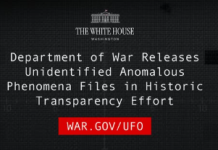 1778291021790.png